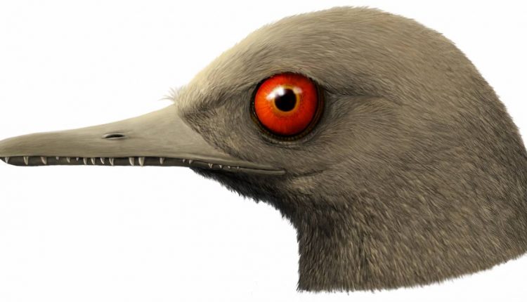 Nueva-especie-de-dinosaurio-diminuto (1)