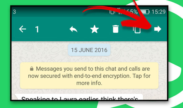 WhatsApp-How-To-Send-Bold-in-WhatsApp-Embedded-Replies-Forward-Video-To-Friend-Send-Video-To-Another-Chat-Forward-Image-File-in-570860