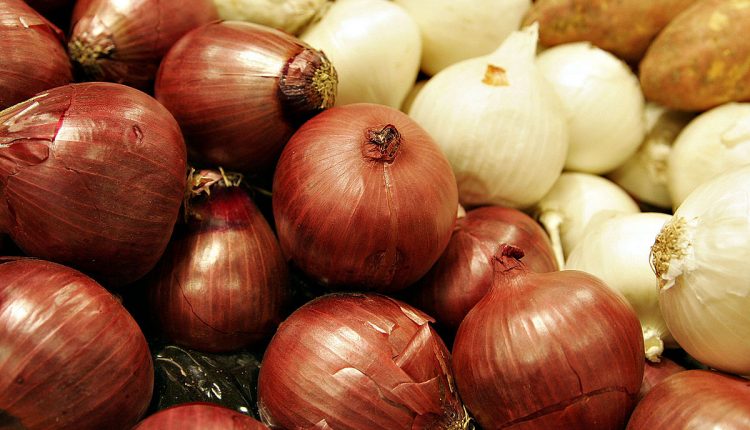 1200px-Two_colors_of_onions