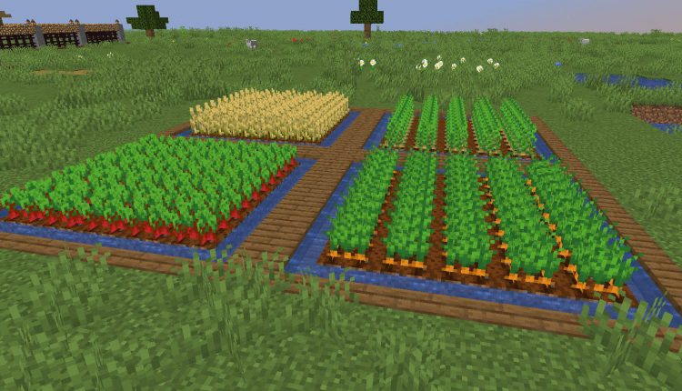 make-you-an-efficient-minecraft-farm