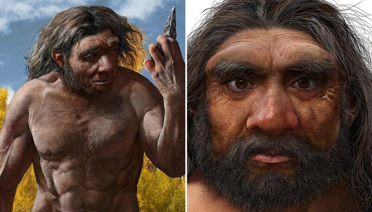 Homo Longi: Descubren una nueva especie de humano que podría ser nuestro  relativo más cercano - TEC