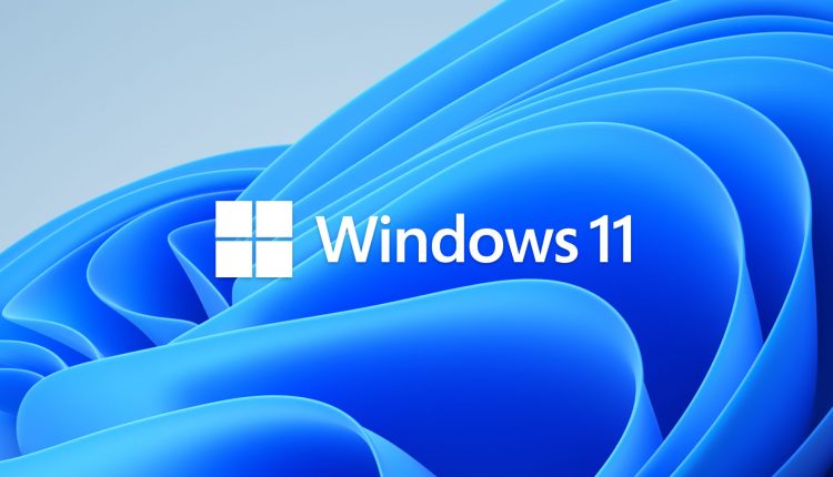 Windows-11-Hero-Bloom-Logo