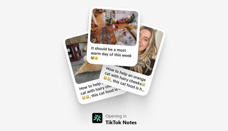 TikTok Notes